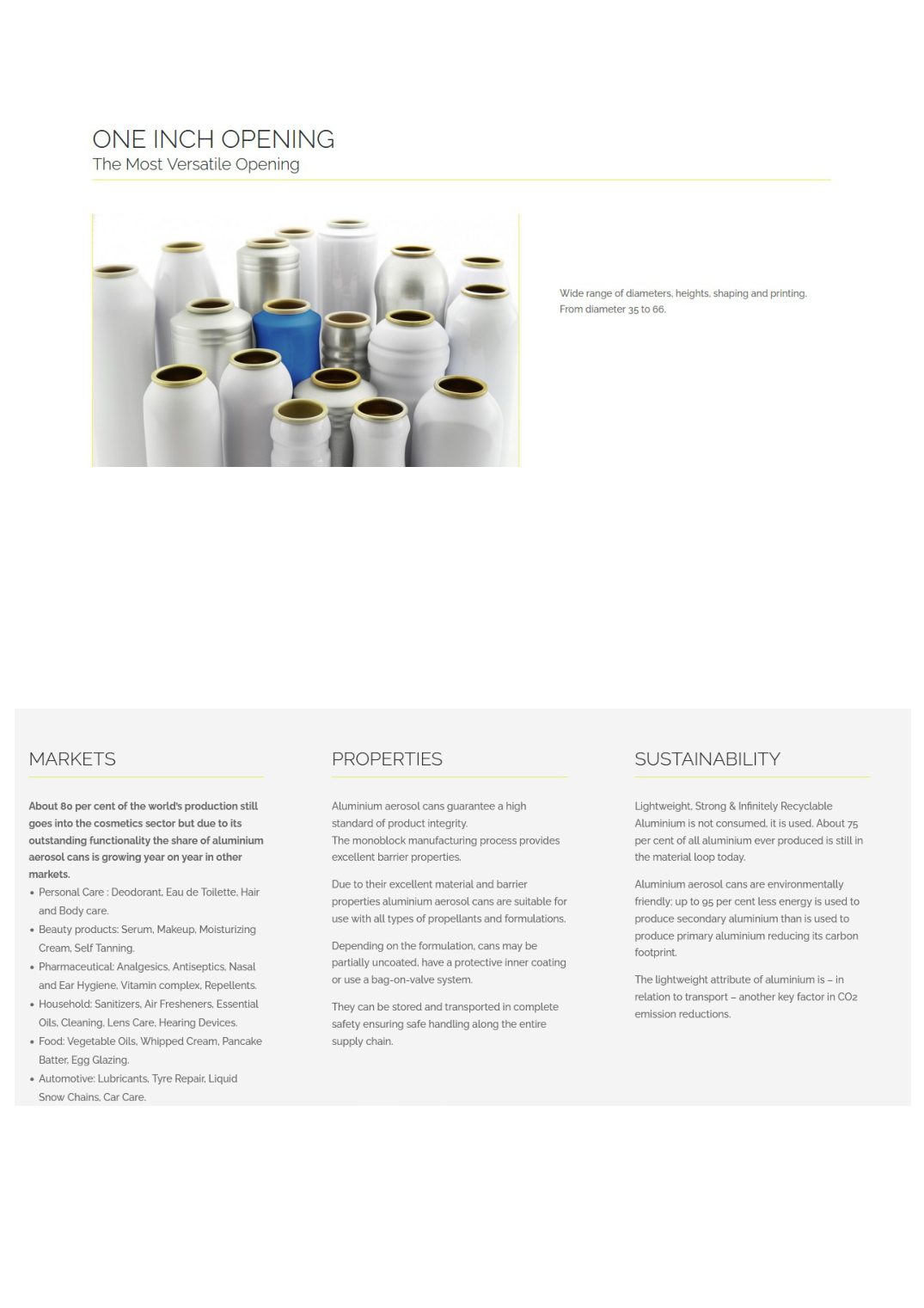 AEROSOL EUROPE - Company portrait ENVASES