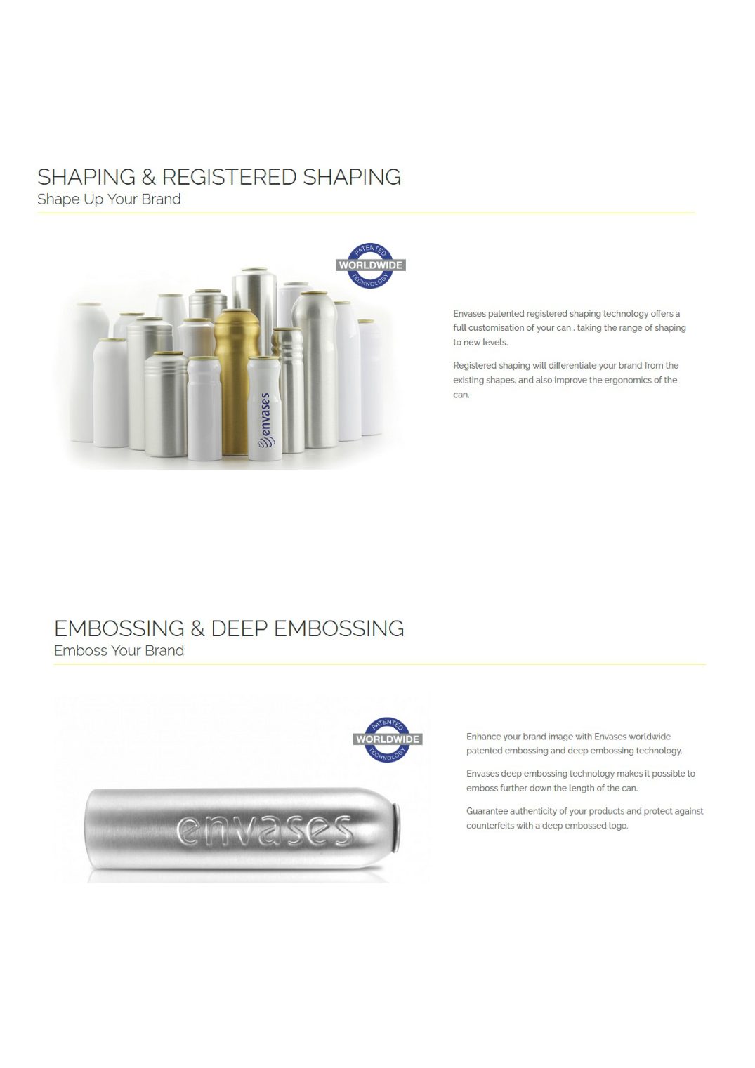 AEROSOL EUROPE - Company portrait ENVASES
