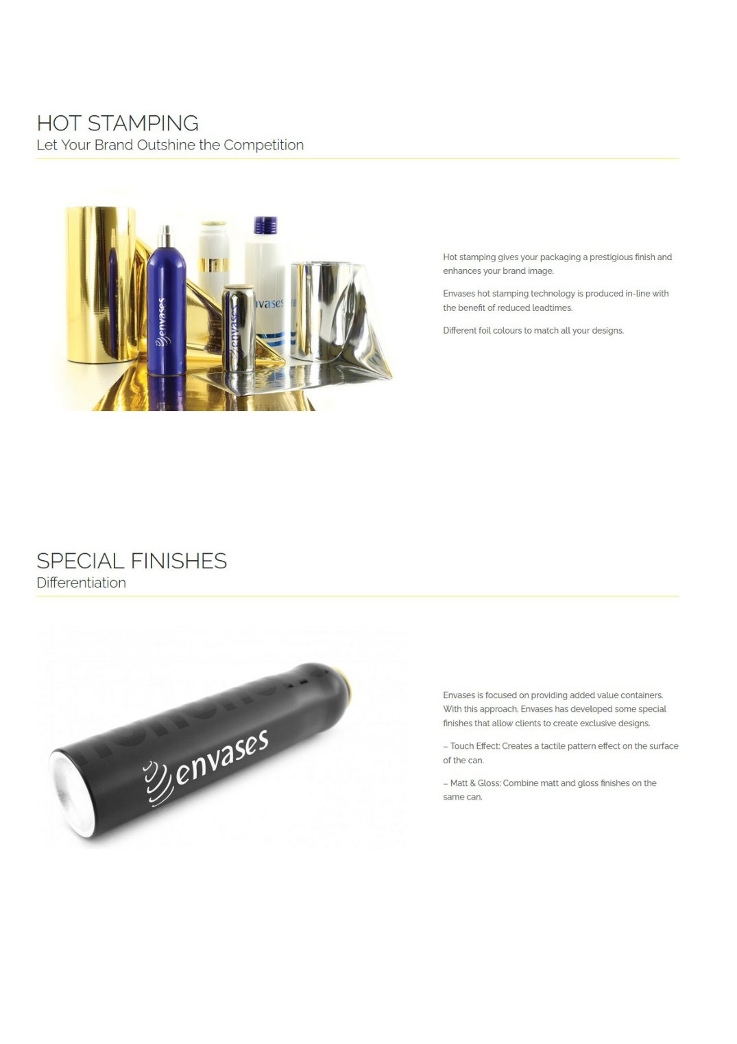 AEROSOL EUROPE - Company portrait ENVASES