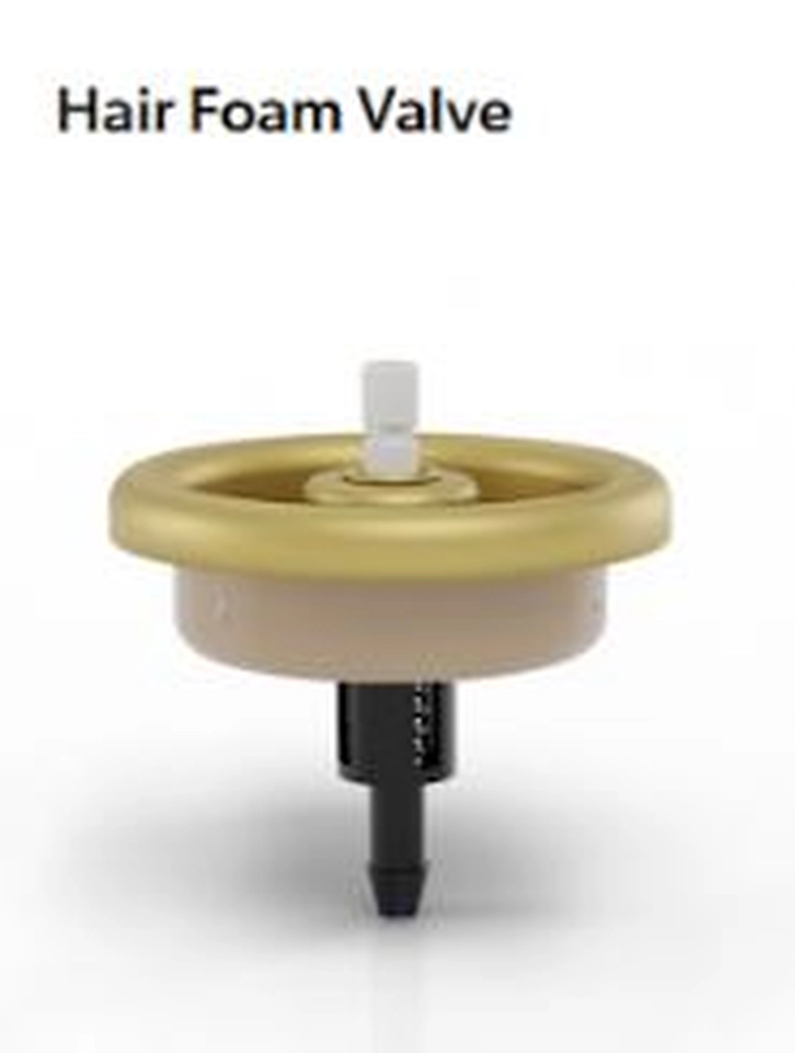 AEROSOL EUROPE - The leading magazine for the global aerosol industry - VIOCAP - AEROSOL VALVES - Hair foam valve